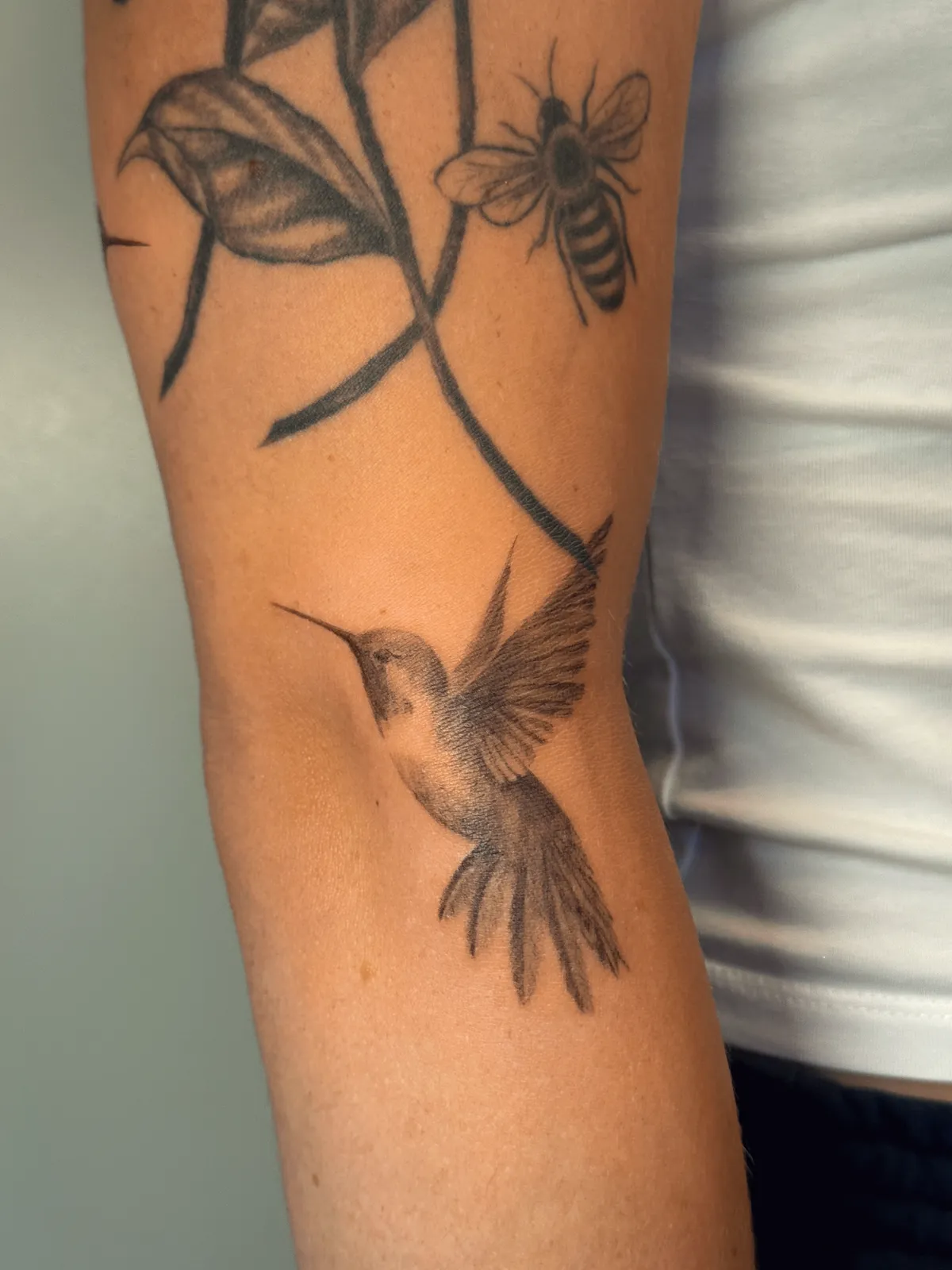 Hummingbird Study, tattoo by Alyssa Collins